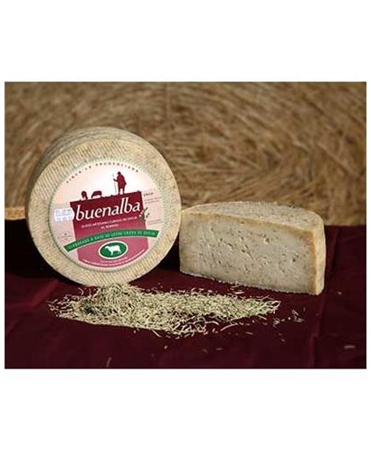 Whole Manchego cheese with rosemary