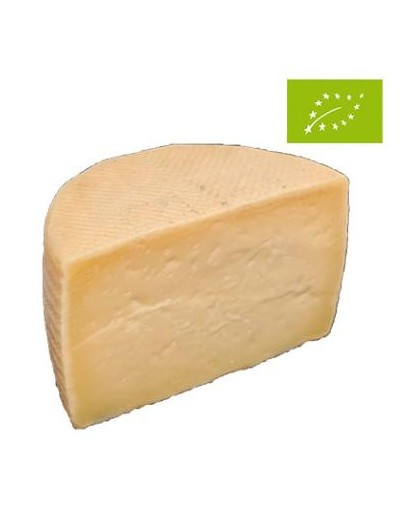 Fromage Manchego BIO Curado DOP 1500 grs