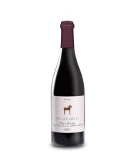 Vallegarcia Syrah 2018