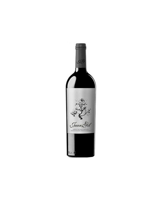 Juan Gil 12 mesecev 2023