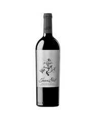 Juan Gil 12 mesecev 2023