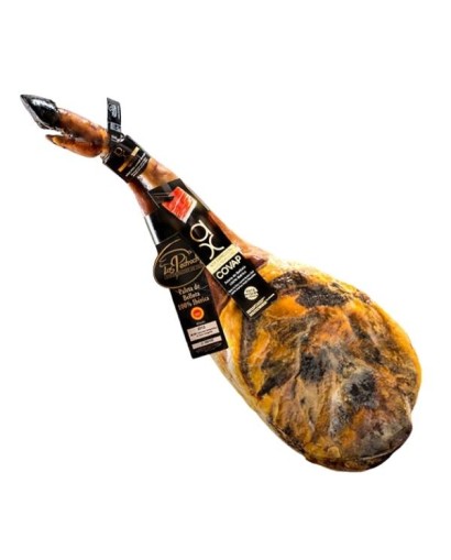 Spazzola COVAP 100%...