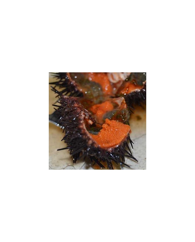 Caviar de arici de mare