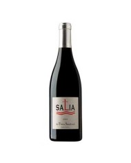 Salia 2013