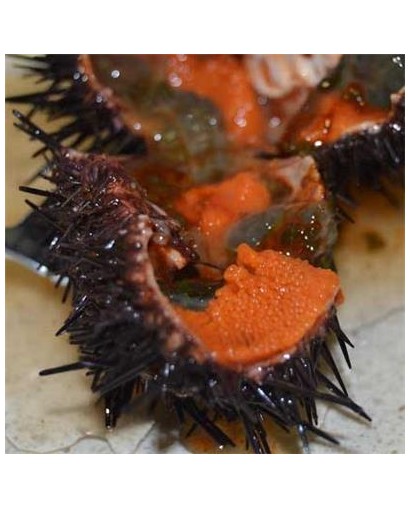 Kaviár z morských ježkov