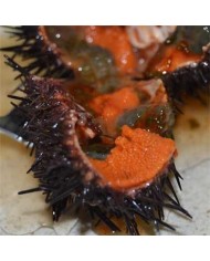 Kaviár z mořských ježků
