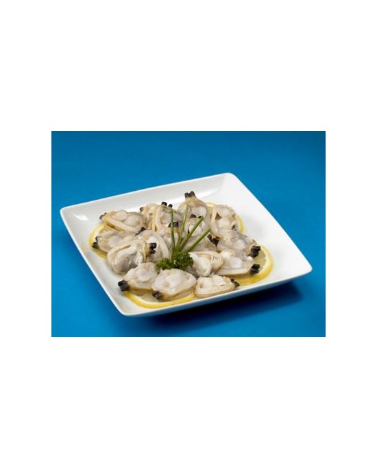 Plain clams